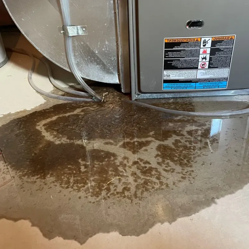 Pipe Burst and Leak Restoration in Kiefer, OK